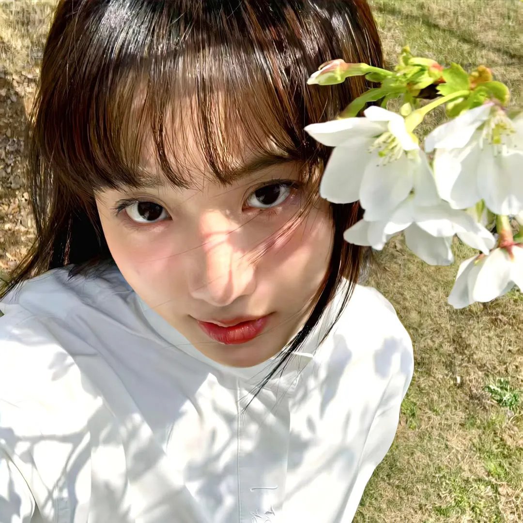 花瓣